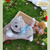Gatinho Brincalhão na internet