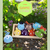 Coleção GAME START - Genshin Slimes