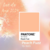 Carteira de mão - Peach Fuzz na internet