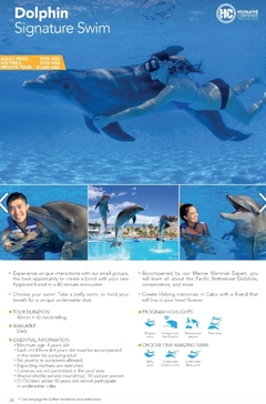Banner for category Signature Swim
