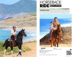 Banner de la categoría Horseback Ride