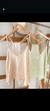 MUSCULOSA FIBRANA