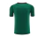 Camisa Paris Saint-Germain Treino 24/25 - Torcedor Nike Masculina - Verde com detalhes em vinho - comprar online