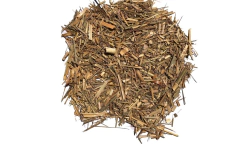Lemon Grass o Cedrón Pasto
