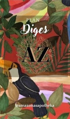 Plan Diges