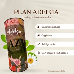 Plan Adelga en internet