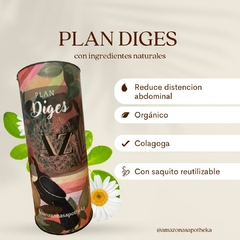 Plan Diges en internet