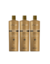 Kit Progressiva Active Gold No Frizz DiPierry 1000 Ml ( 3 unidades )