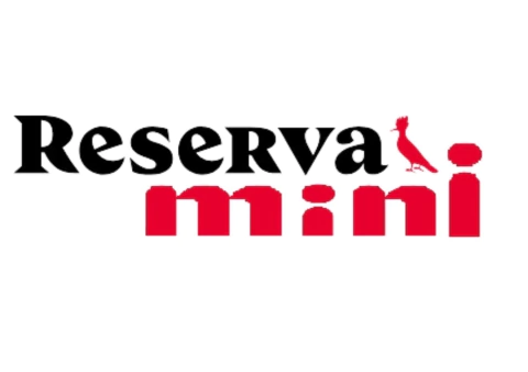 Marca 4 de Bambino Kids