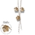 Conjunto Flor Textura