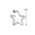 Argola Estrela P