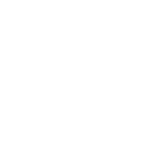 Folie Lunettes