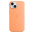CASE IPHONE 15 , 15 PLUS , 15 PRO , 15 PRO MAX - loja online