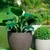 Vaso Europa Redondo 33 (18L) Cor Chumbo JAPI (C3903A)