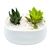 Pedra Decorativa Brita Branca Grande (3kg) VITAPLAN (C4185A) - Trazlogo