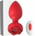 PLUG ANAL + VIBRADOR + CONTROL
