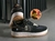 Nike Air Force en internet