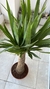 YUCA + MACETA ROTOMOLDEADO - comprar online