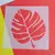 STENCIL S 097 20X20 CAPSULA BOTANICA