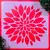 STENCIL S 367 20X20 CAPSULA MANDALA