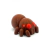 Aranha Articulada - comprar online