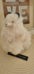 Alpaca chica