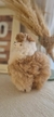Alpaca grande - comprar online