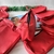 Imagen de mini bag roja