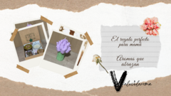 Banner de la categoría Temporada