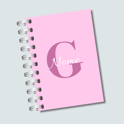 AGENDA ESCOLAR/CRECHE ROSA AGE0011