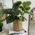 PLANTA ARTIFICIAL CON MACETA DE PLÁSTICO NEGRA - comprar online