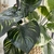 PLANTA ARTIFICIAL CON MACETA DE PLÁSTICO NEGRA en internet