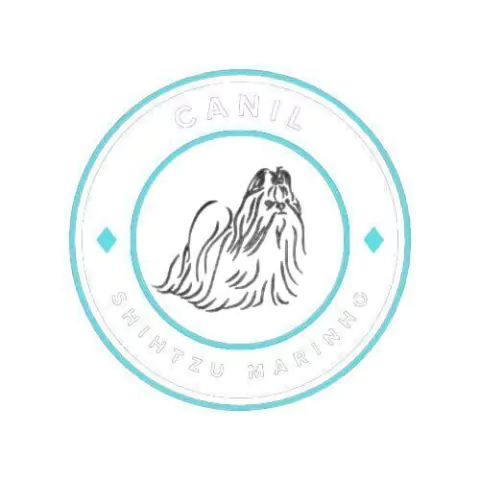 canil shih tzu marinho
