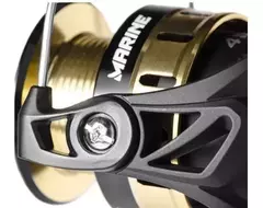 Reel frontal MARINE VERSUS en internet