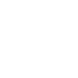 CWB Fight Gear