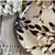 PRATO FUNDO CERAMICA FOLHAS COUP TORNA - comprar online