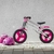 Bicicleta de entrenamiento - PADI