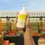 Loção Desodorante Hidratante Cuide-se Bem Feira Banana 400ml na internet