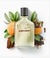 Boticollection Portinari Desodorante Colônia 100ml na internet