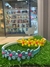 Tiara Infantil Jardim Florido na internet