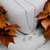 conjunto Borboleta