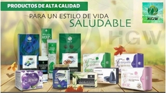 Banner de la categoría HGW