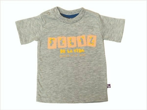 REMERA ALGODON GRIS FELIZ BRAILLE 23 02 02