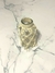 BOTELLA DE VIDRIO C/CUERDA DE ALGODON en internet