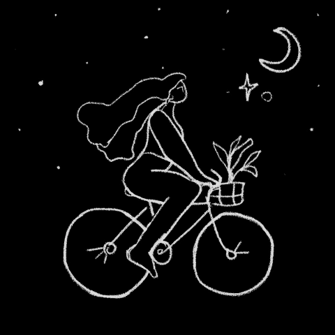 nocturna
