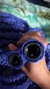 Imagem do Mangueira de Jardim Mágica - Cor Azul, Expansível pode chegar até 15m de Comprimento