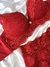 Conjunto de lingerie de renda e microfibra com bojo - Rubi na internet