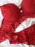 Conjunto de lingerie de renda e microfibra com bojo - Rubi na internet
