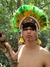 Imagem do Penacho Verde e Amarelo