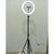 Aro LED 10 cálido/frio con trípode 2mts